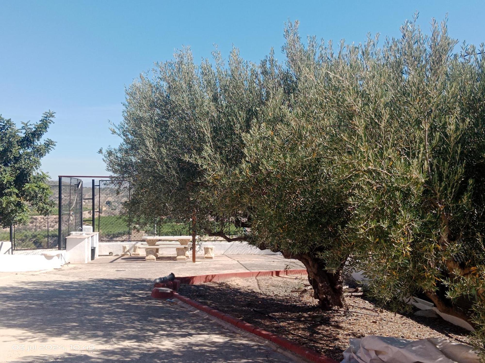 Casa Las Moscas مرسية المظهر الخارجي الصورة